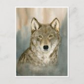 Wolf in the Mist Woatercolor ポストカード (正面)