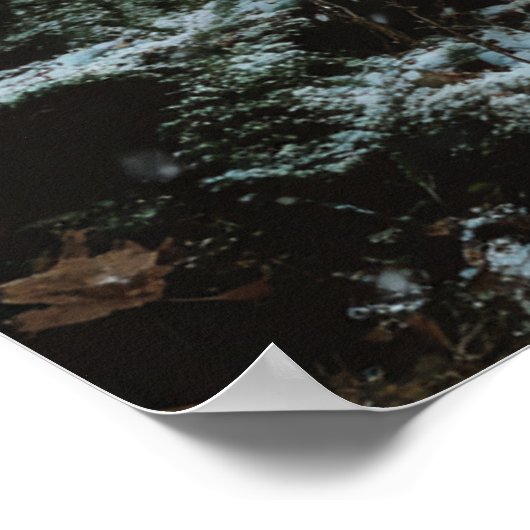 Wolf in Winter ポスター (角)