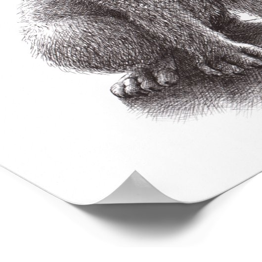 Wolf meets Owls ポスター (角)