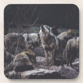 Wolf Pack Beverage Coaster コースター (正面)