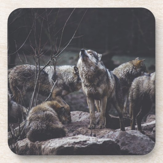 Wolf Pack Beverage Coaster コースター (正面)