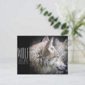 Wolf [Postcard] ポストカード (スタンド正面)