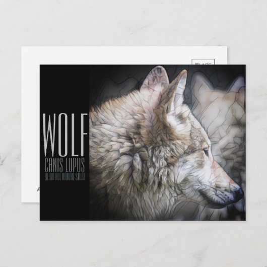 Wolf [Postcard] ポストカード (正面/裏面)