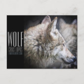 Wolf [Postcard] ポストカード (正面)