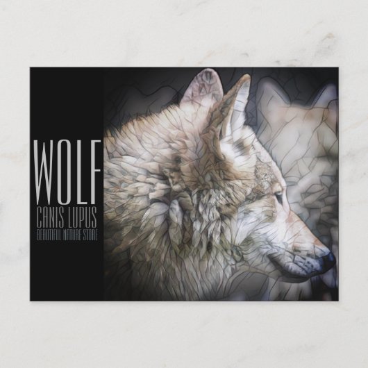 Wolf [Postcard] ポストカード (正面)