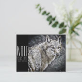 Wolf [Postcard] ポストカード (スタンド正面)