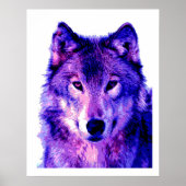 Wolf Poster Print - Wolves Posters ポスター (正面)