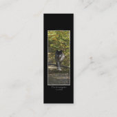 WOLF PROTECTIONブックマーク\プロファイルカード スキニー名刺 (裏面)