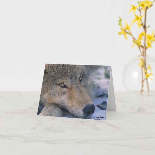 Wolf_pup_closeup カード (黄色い花)