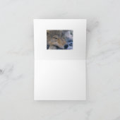 Wolf_pup_closeup カード (内部)