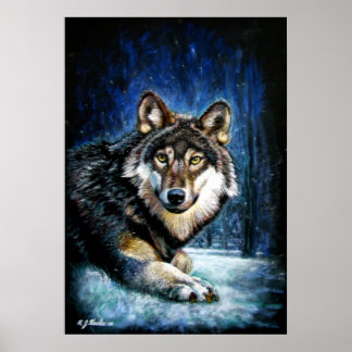 Wolf Wildlife print poster ポスター