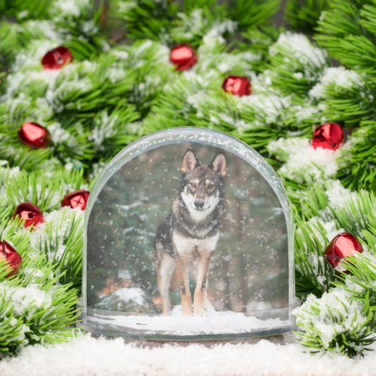 Wolfdog (クリスマス)