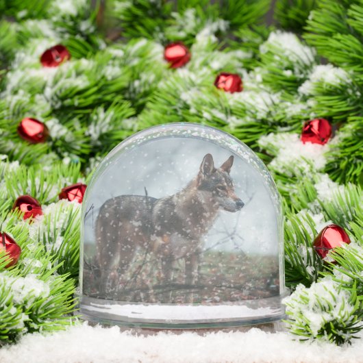 Wolfdog (クリスマス)