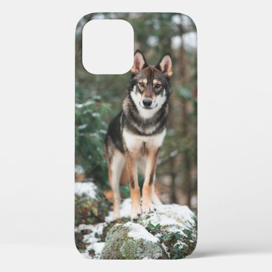 Wolfdog iPhone 12ケース Case-Mate iPhoneケース (裏面)