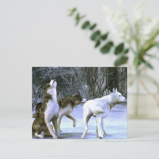 wolfpack ポストカード (スタンド正面)