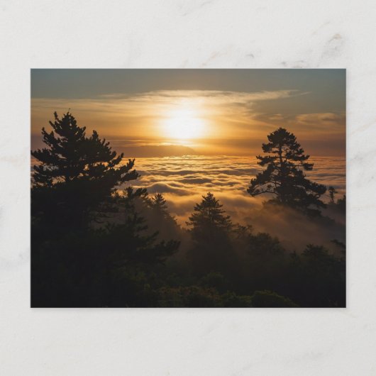 Wolkenmeer mit Sonnenuntergang ポストカード (正面)