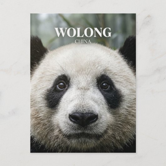Wolong National Nature Reserve China ポストカード (正面)