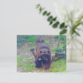 Wolverine #1はがき ポストカード (スタンド正面)