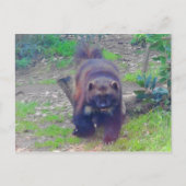 Wolverine #1はがき ポストカード (正面)