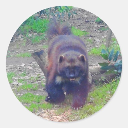 Wolverine #1スタンプ ラウンドシール (正面)