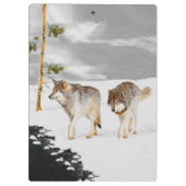 Wolves in Snow 絵画's -オリジナルワイルドライフアート クリップボード (裏面)