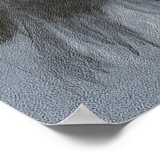 Woman Golfer Drawing - Golf Art Print ポスター (角)