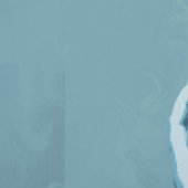 "Woman in Blue" Premium Canvas  壁紙 (縫い目)