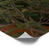 Woman In Orange Bikini By Tropical Palm Tree ポスター (角)