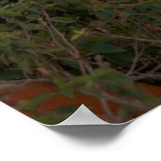 Woman In Orange Bikini By Tropical Palm Tree ポスター (角)