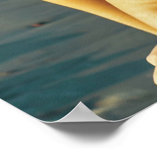 Woman Relaxing On A Sunny Beach ポスター (角)