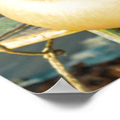 Woman Smiling At The Beach ポスター (角)