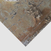 Woman with Fern Fronds Decoupage 薄葉紙 (詳細)