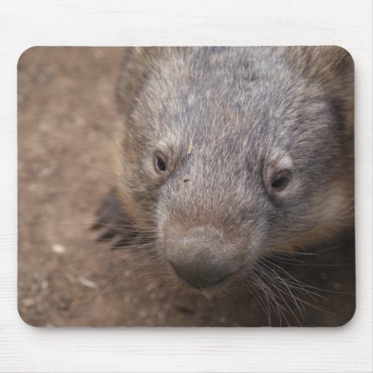 Wombatのキス マウスパッド (正面)