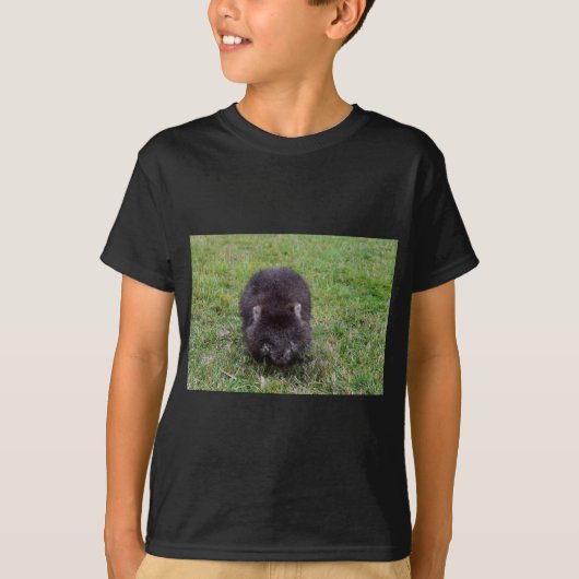 WOMBATタスマニアオーストラリア Tシャツ (正面)