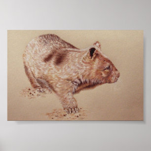 Wombat ポスター