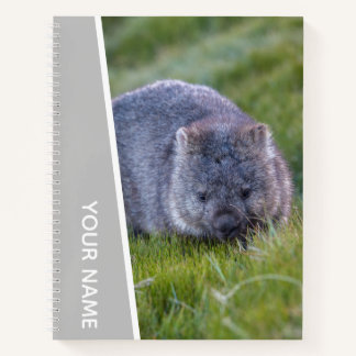 Wombat Australia Cute Animal, Silver ノートブック