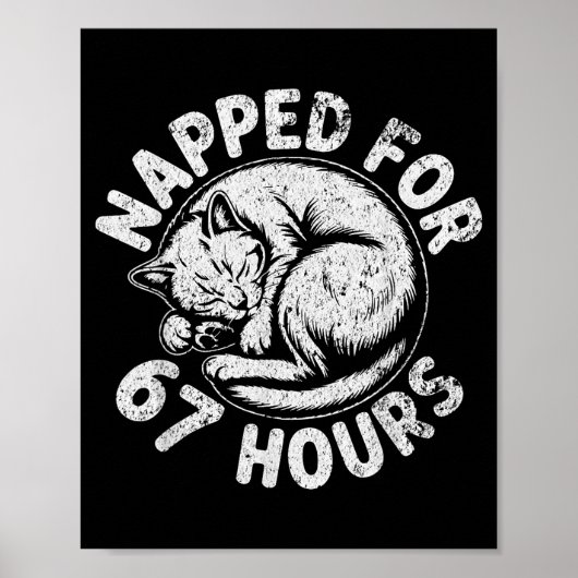 Women Napped For 67 Hours Funny Cat Lover Owner Gi ポスター (正面)