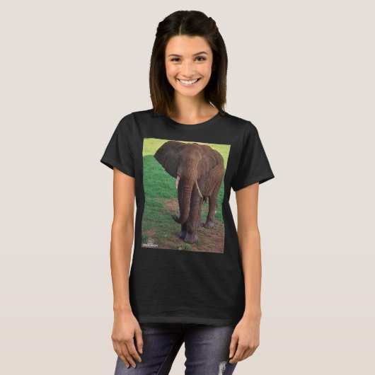 Women’s Basic T-Shirt – African Elephant Portrait Tシャツ (正面フル)