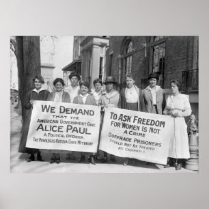 Women's Suffrage Pickets: 1917 ポスター