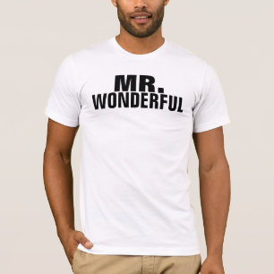wonderful氏 tシャツ