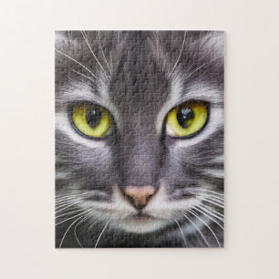 Wonderful cat portrait ジグソーパズル
