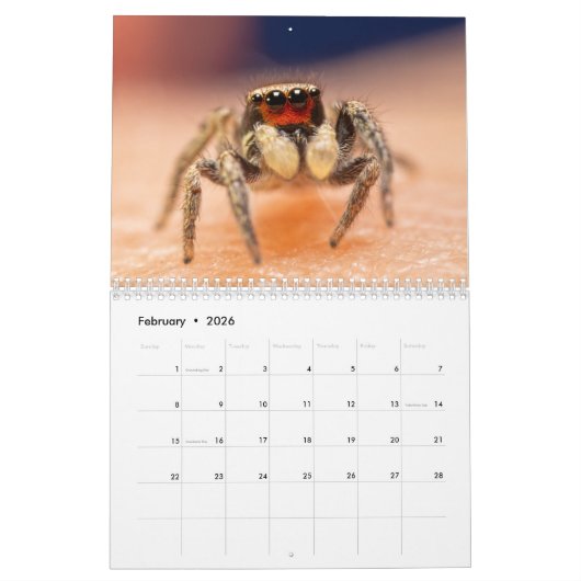 Wonderful Jumpers カレンダー (2月 2026)