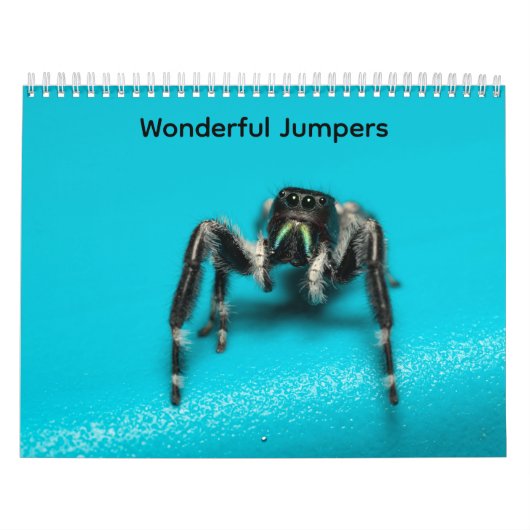 Wonderful Jumpers カレンダー (カバー)