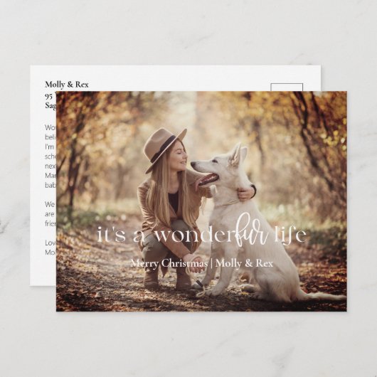 WonderFUR Life:ペットのクリスマスポストカード シーズンポストカード (正面/裏面)