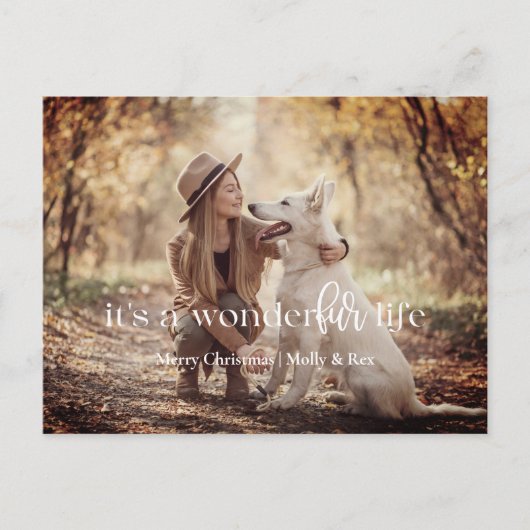 WonderFUR Life：ペットのクリスマスポストカード シーズンポストカード (正面)