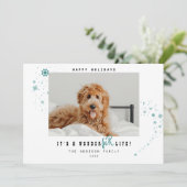 WonderFUR Life Pet Photo Christmas シーズンカード (スタンド正面)