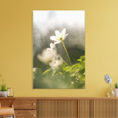 Wood Anemoneの自然写真 キャンバスプリント (インサイチュ (リビング))