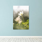 Wood Anemoneの自然写真 キャンバスプリント (インサイチュ (ウッドフロア))
