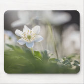 Wood Anemoneの自然写真 マウスパッド (正面)