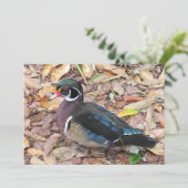 Wood Duck フラットカード シーズンカード (スタンド正面)